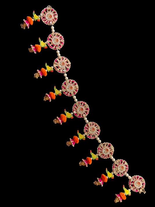 Rani Parrot Bandhanwar